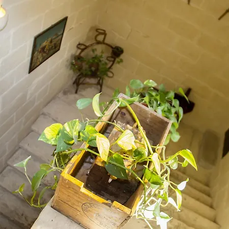 Villayana * סן לורנץ