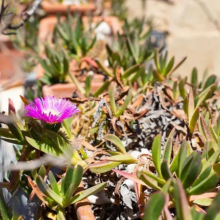 Villayana Casa vacanze